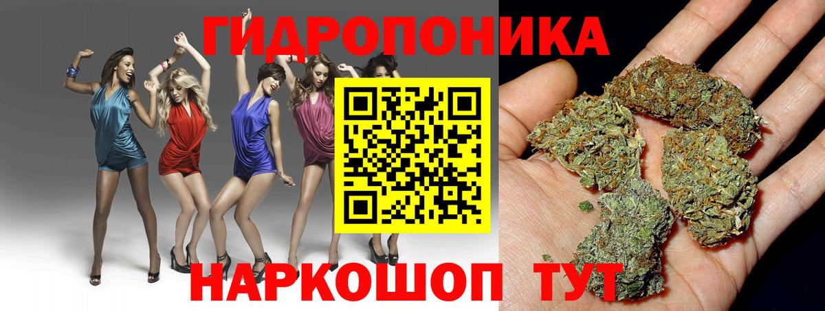 Канабис планчик  Бошки марихуана тримм  Вход с VPN  Тольятти  Канабис план  Каннабис план 